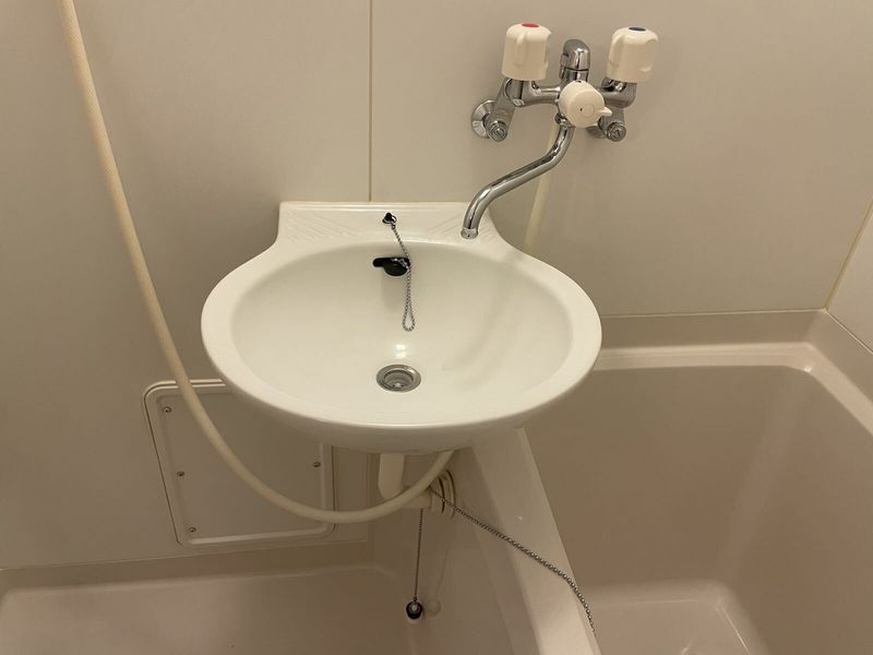 leopalace Beauty Leaf II Bồn rửa mặt