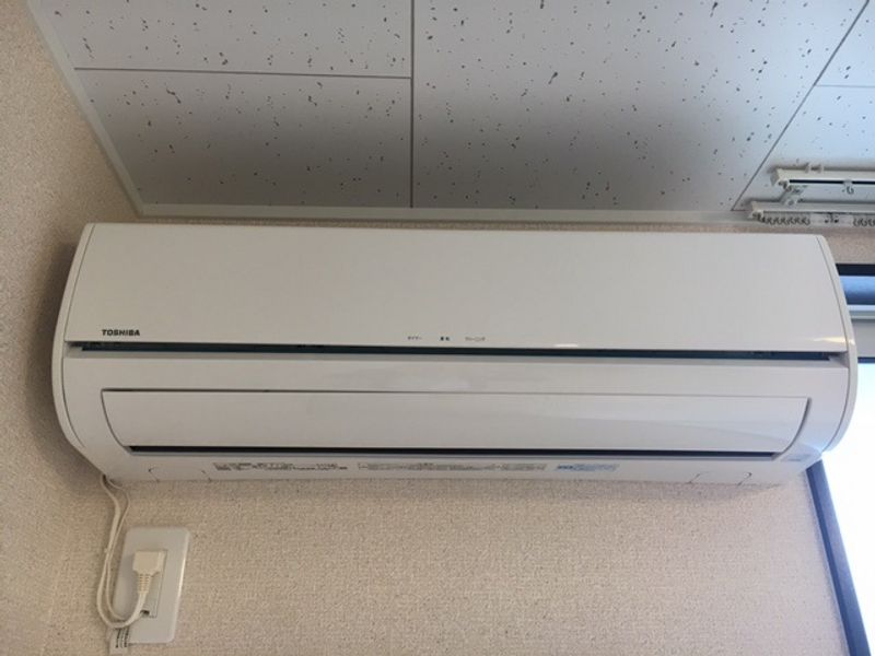 レオネクストシャンエトワール その他