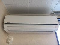 レオネクストシャンエトワール その他