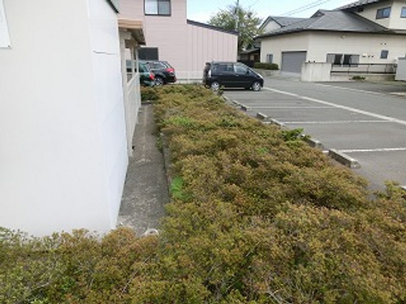 leopalace La Villa 停车场