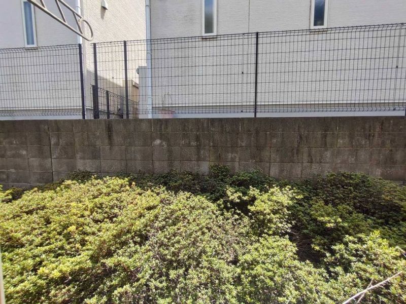レオネクストソレイユ柏Ⅱ 眺望