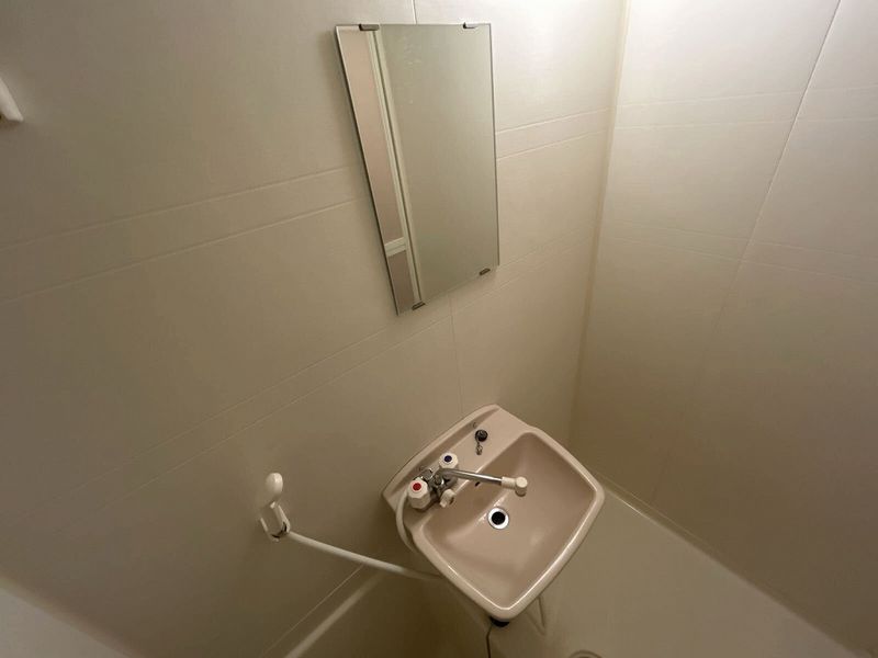 leopalace Premier Sink