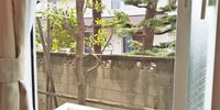 レオパレスＦ 眺望