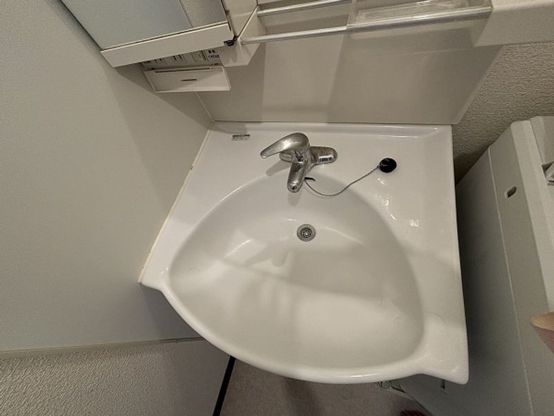 クレイノ久々原 洗面所