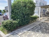 レオパレスＲＵＲＩＡ 庭