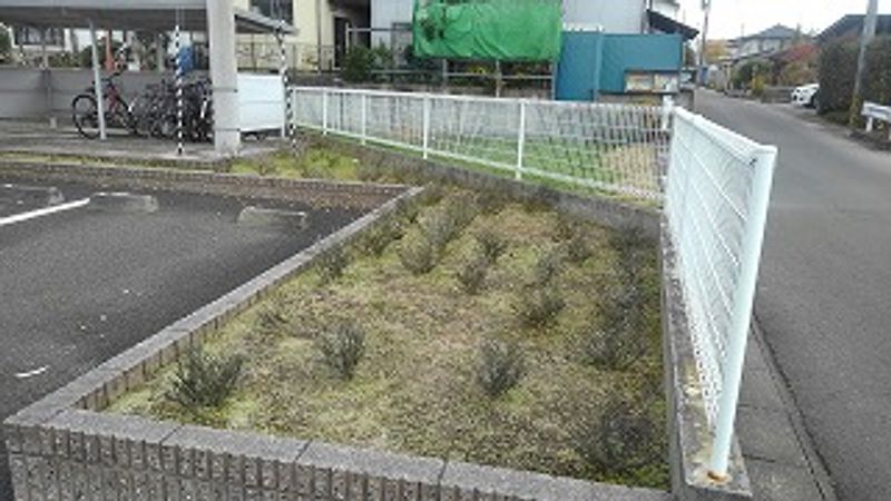 レオパレスフローラⅢ 庭