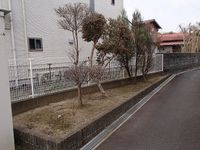 レオパレスアプリコット・イン その他