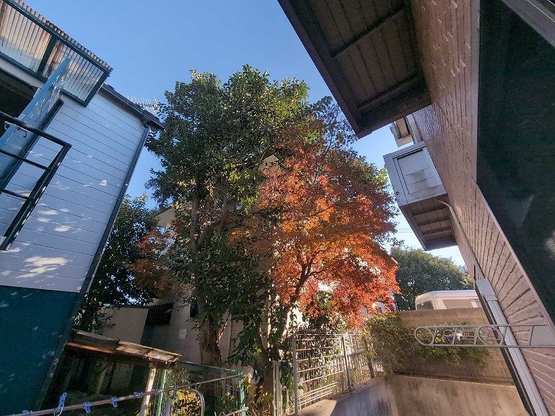 レオネクスト成城壱番館 眺望