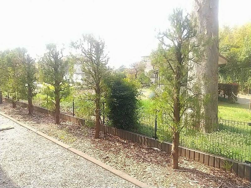 leopalace Pinus 전망