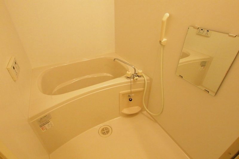 レオネクスト水晶館Ⅲ 風呂