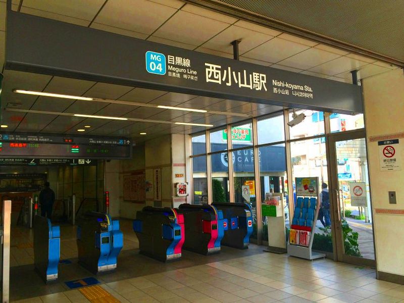 CLEINO Fiore Môi trường xung quanh