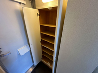 leopalace Sarcandra Other