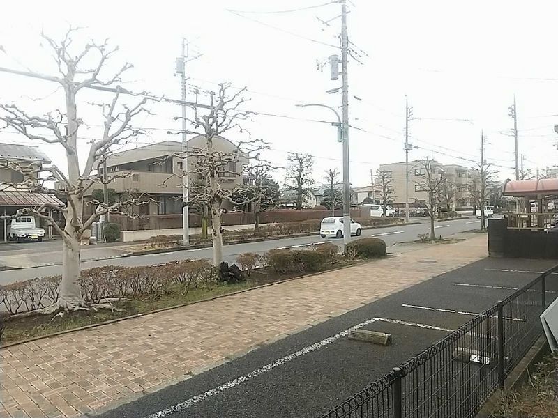 leopalace Vivre II 视野