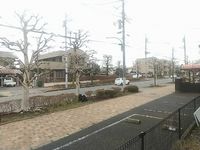 leopalace Vivre II 视野