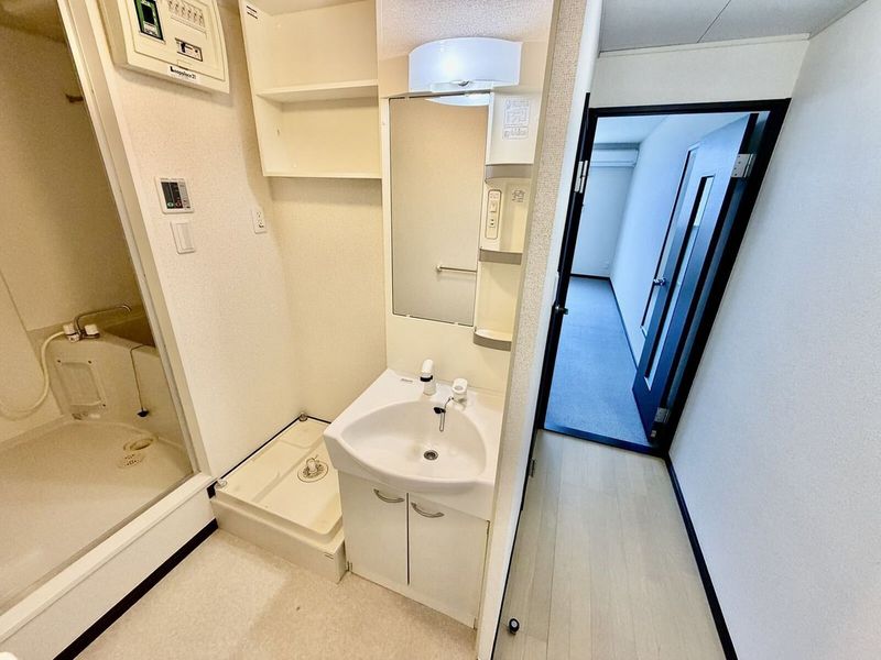 レオネクストアネックス小泉 洗面台