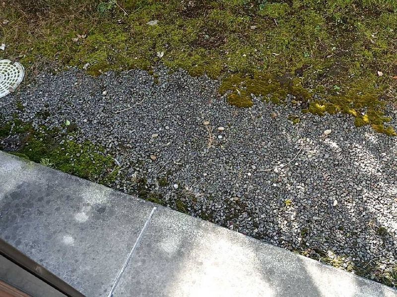 leopalace Wind Valley Nagayoshi Balcony