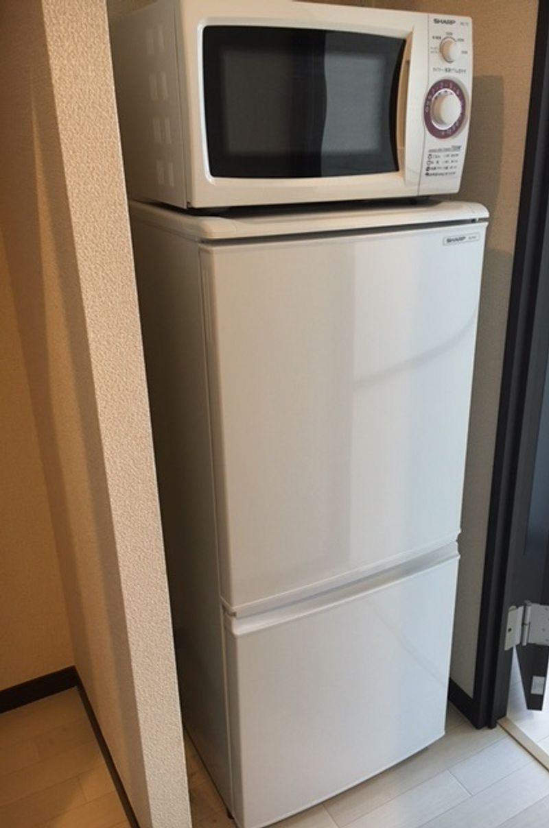 レオネクストラッポラ その他