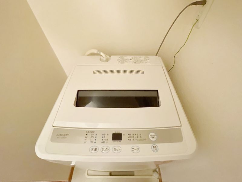 leopalace Holly Other