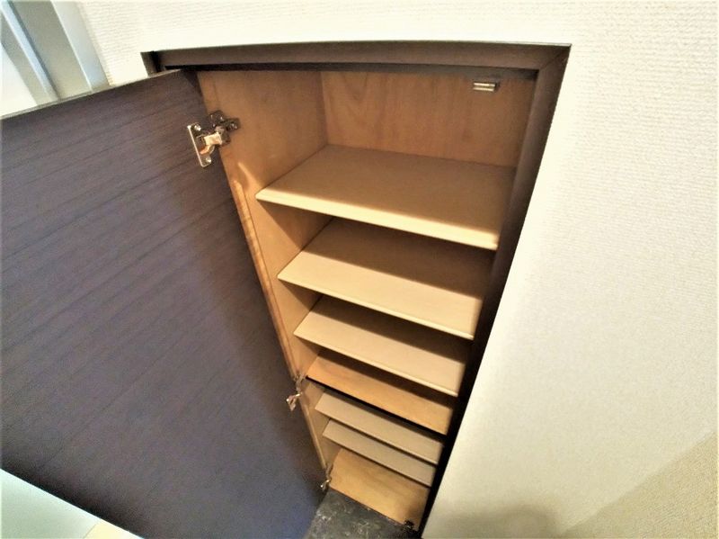 レオネクストラフィーネ その他