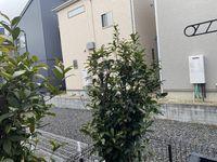 レオパレスエスペーロＫ 眺望