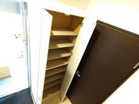レオネクストプレミアム代々木 玄関