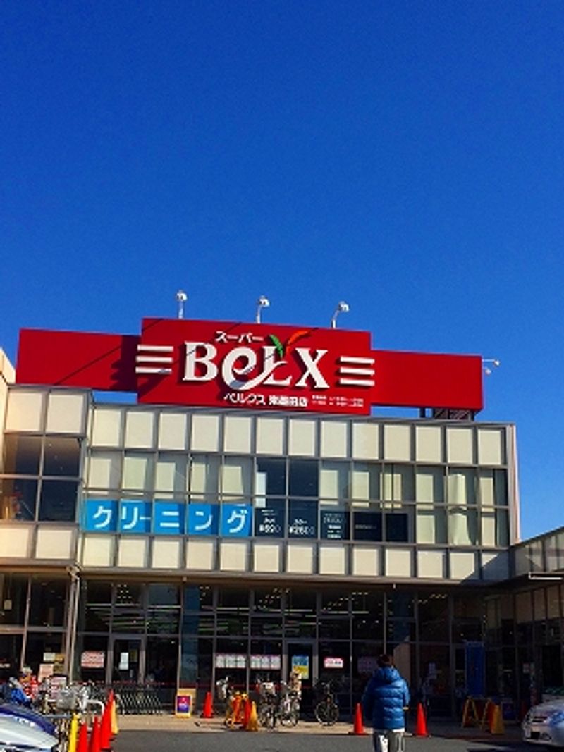 レオネクストツリーサイド 周辺環境