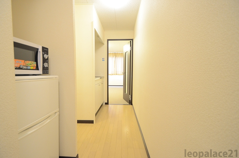 LEONEXT Derniedomir 기타