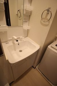 レオネクスト城北通り 洗面所