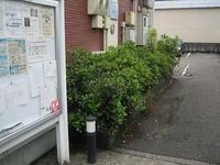 レオネクストＴＯＤＡ　Ｋ 共用部分