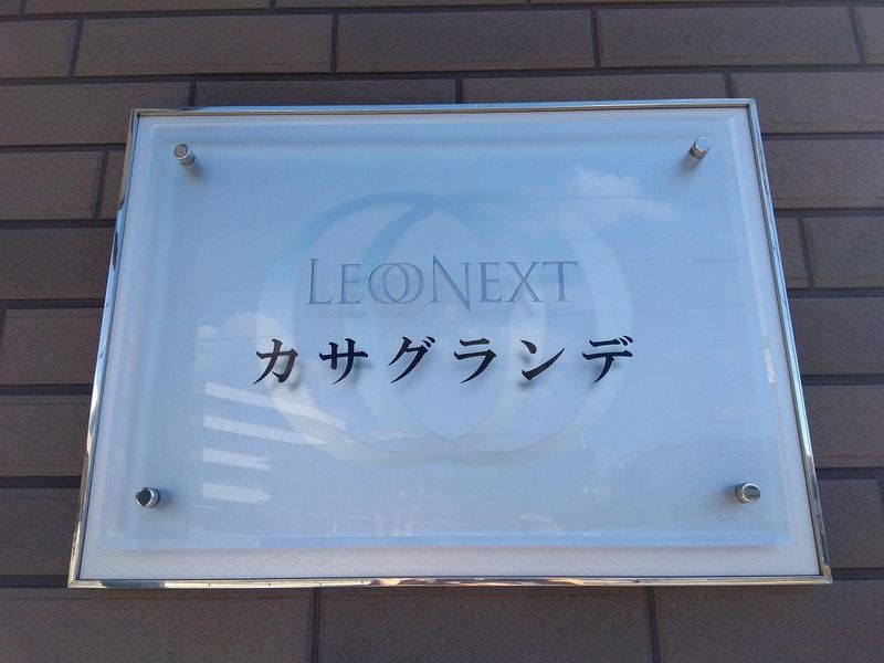 レオネクストカサグランデ その他