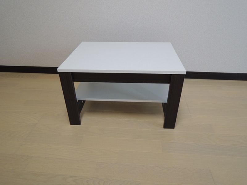 レオネクストラメール その他