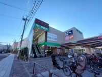 レオネクストサニーリーフ 周辺環境