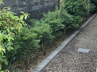 レオパレスアドミレイション 庭