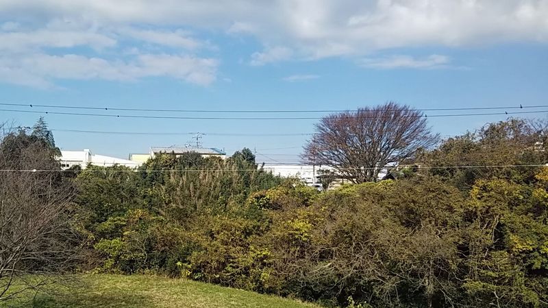 レオパレスオークヒルズⅡ 眺望