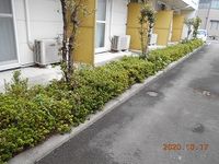 レオパレスＬＯ　ＳＣＡＬＯ 庭