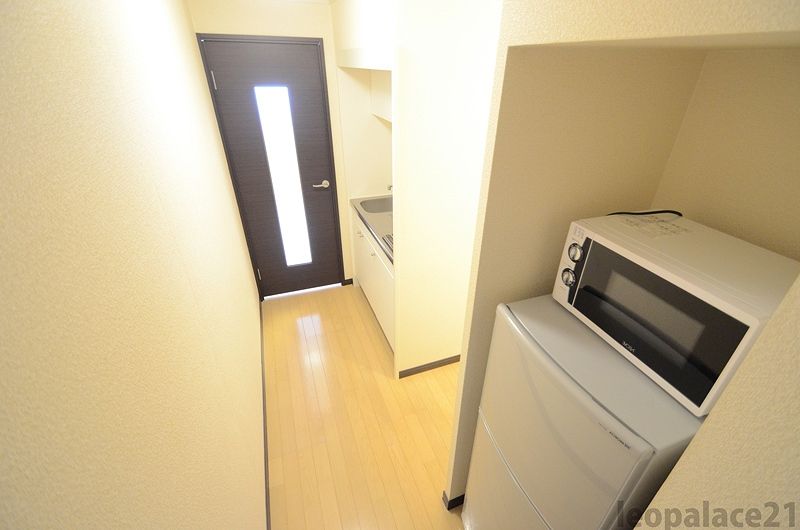 レオネクストドリームハイツⅢ エントランス