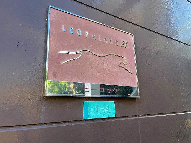 レオパレスピーコック 共用部分