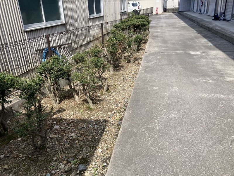 レオパレスＣＯＺＹ−ＹＡＮＡＩＺＵ 庭