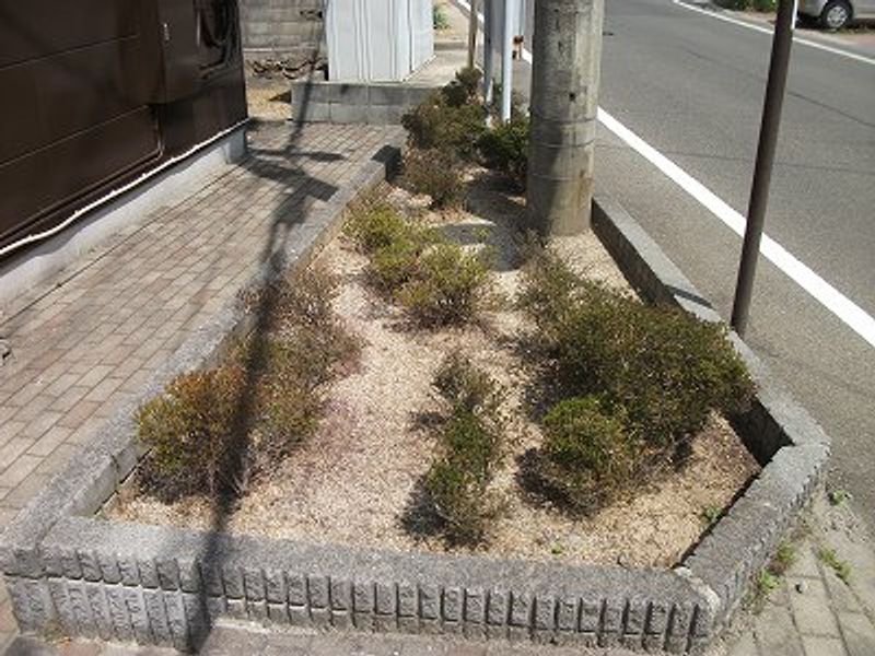 レオパレスＫｅｎｄａ 庭