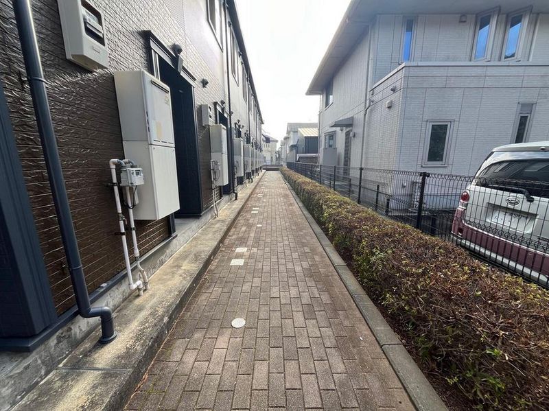 LEONEXT Premieur II 기타