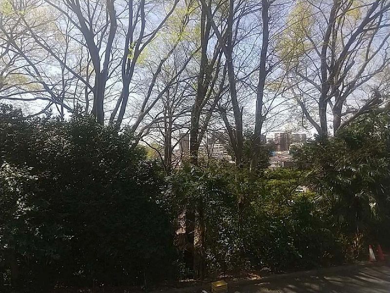 leopalace Minenosaka 视野