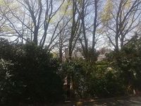 leopalace Minenosaka 视野