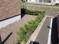 レオネクストレディアンス柳津 庭