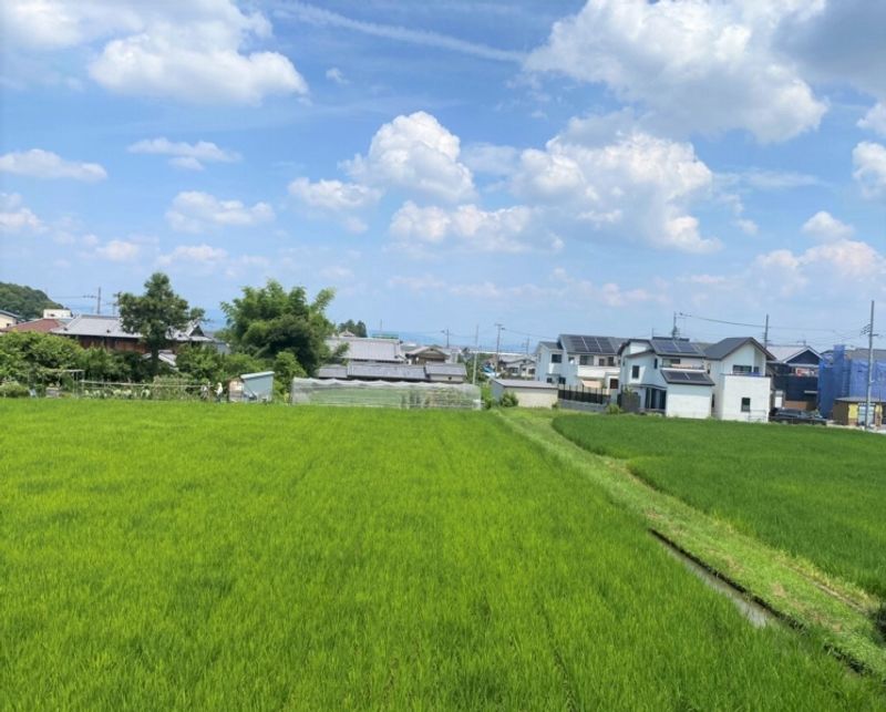 レオパレスセイフル 眺望