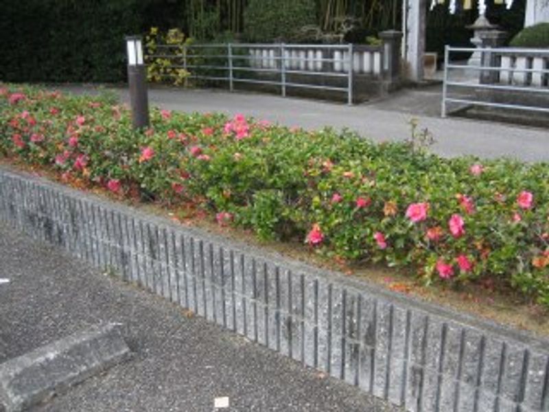 レオパレスラ・ネージュ 共用部分