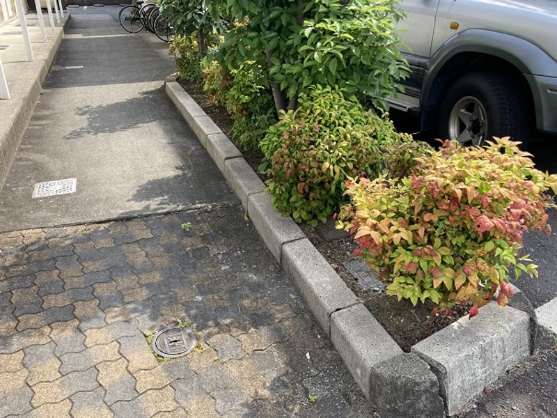 レオパレス本荘西 庭