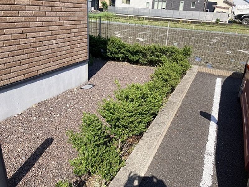 レオネクストレディアンス柳津 庭