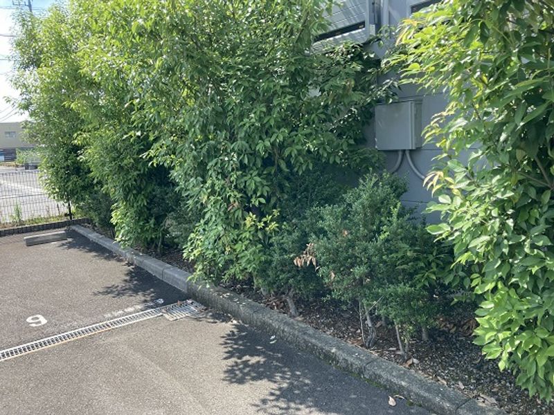 レオパレス折立 庭