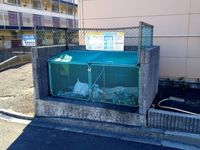 レオパレスエスペランサ 共用部分