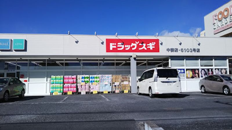 レオパレス藤 周辺環境